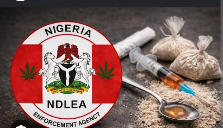 The NDLEA logo and the drug